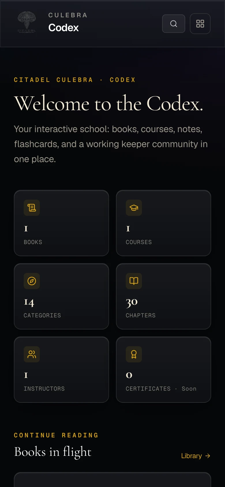 Codex on mobile