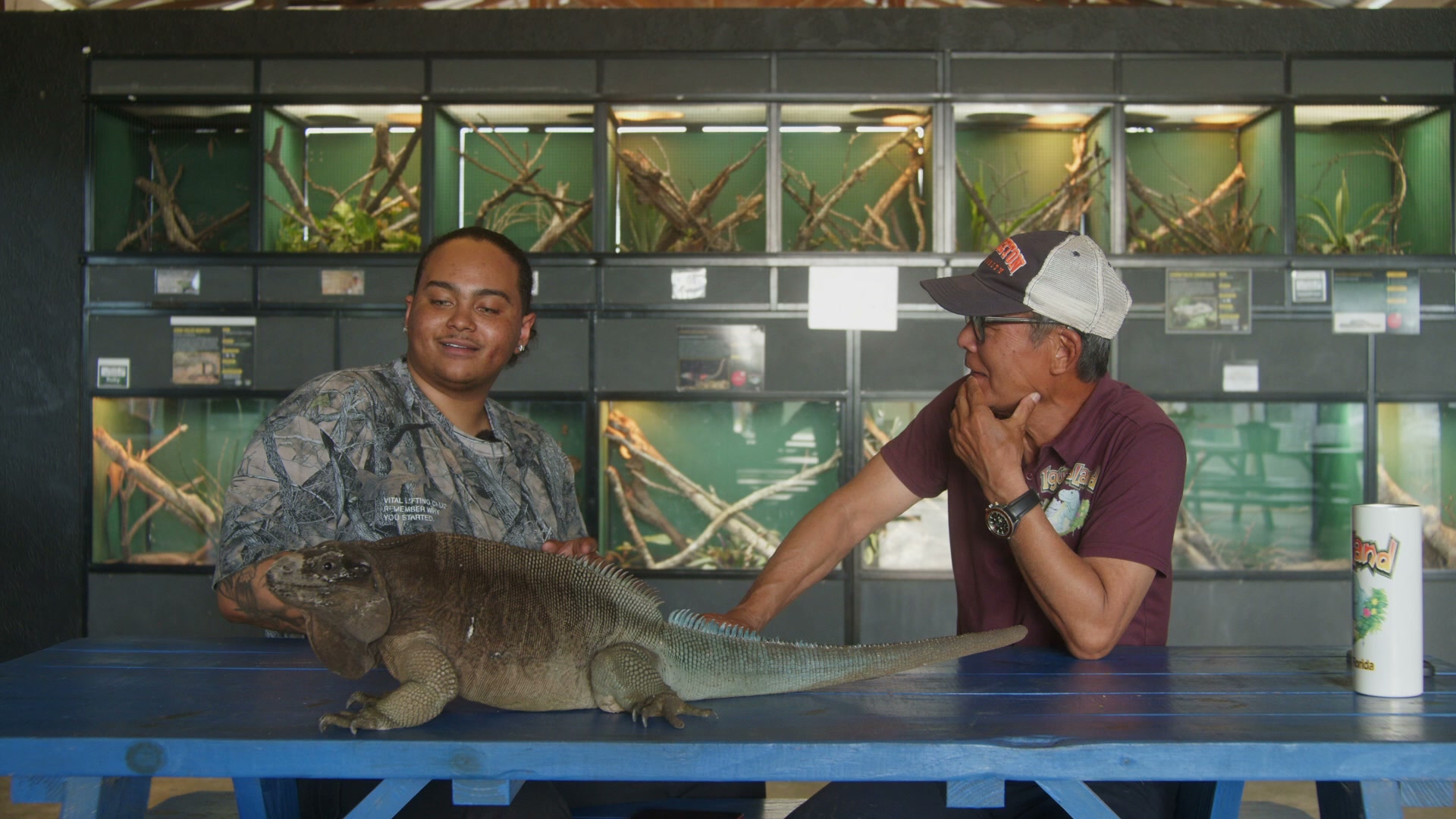Zoological & Large-Scale Operations