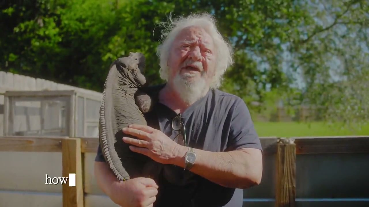 Intro to the Art of Keeping Reptiles