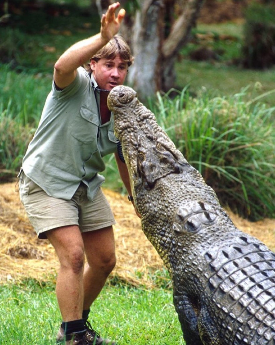 STEVE IRWIN