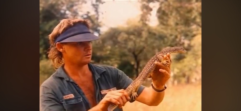 Steve Irwin in the field with a monitor lizard